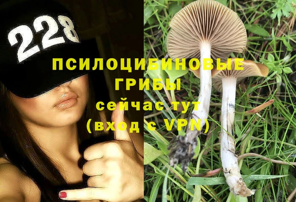 a pvp Беломорск