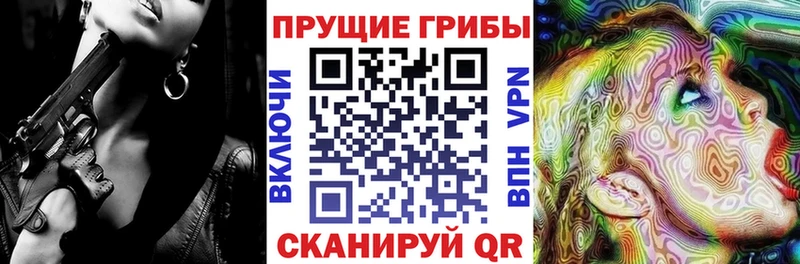 Галлюциногенные грибы мухоморы  blacksprut ссылка  Курильск 